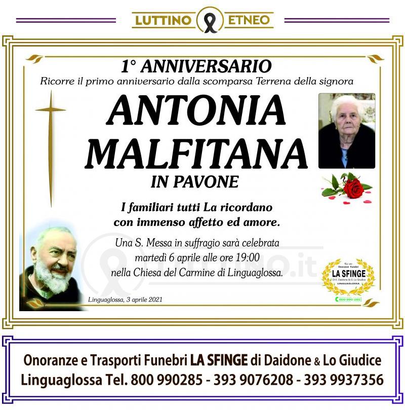 Antonia  Malfitana 